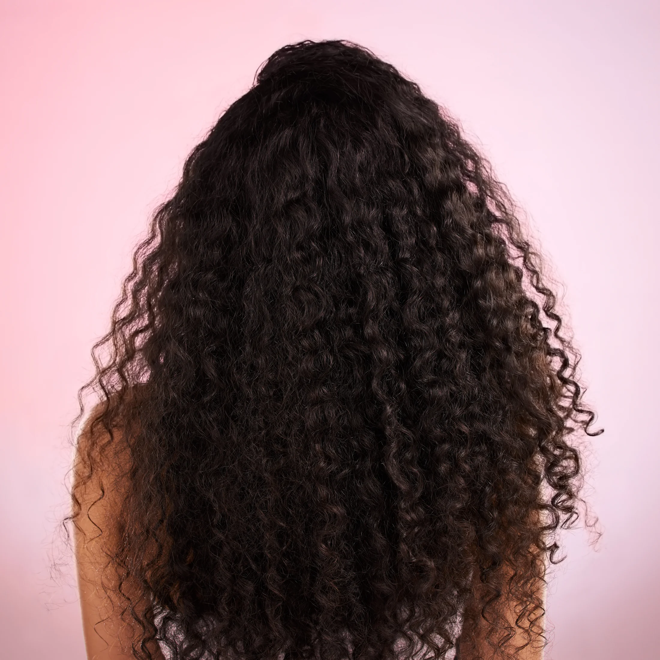 Back view of long dark hair with defined curls