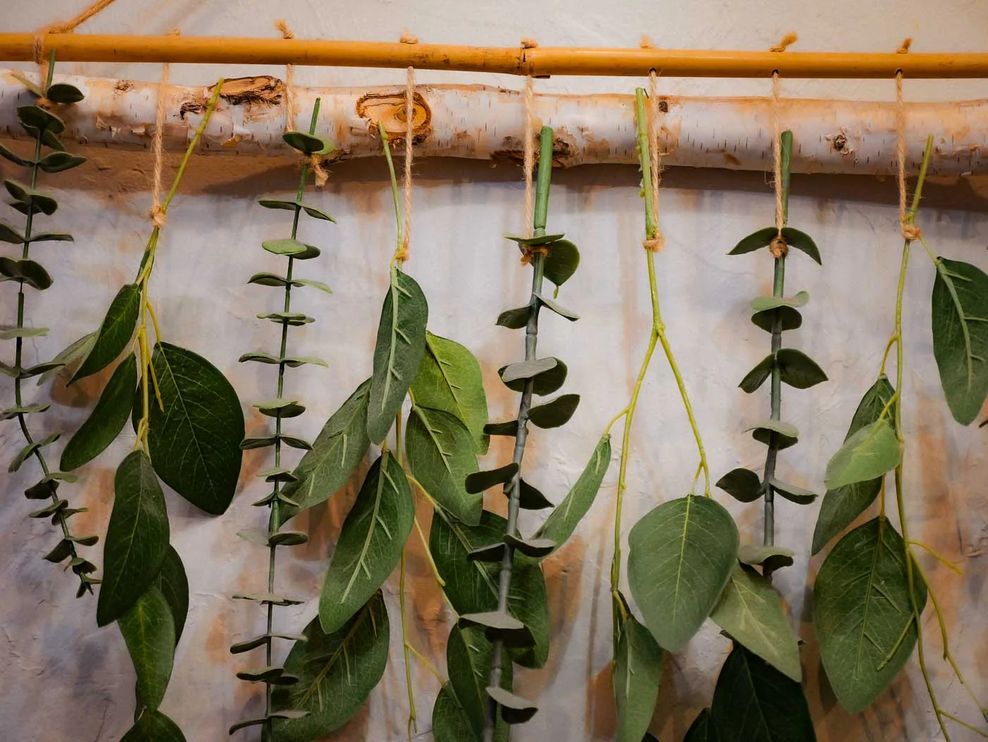 Fresh eucalyptus hanging from a wooden rail